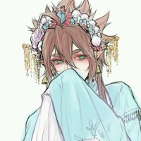 pr九天狐官网